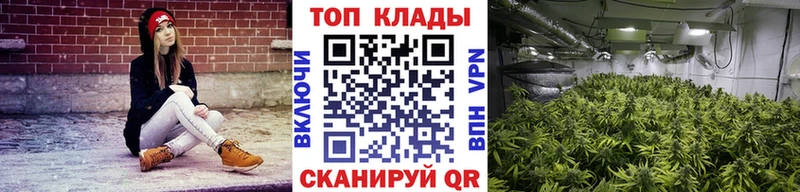 Где купить наркотики Когалым АМФ  МАРИХУАНА  COCAIN  Псилоцибиновые грибы  МЕФ  ГАШ  A-PVP 