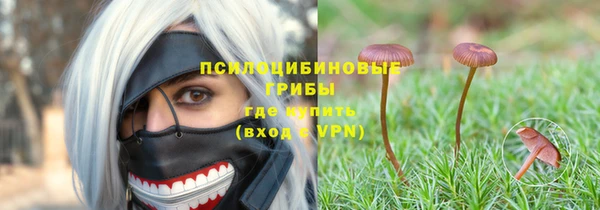 герыч Иннополис