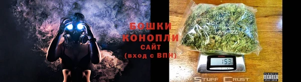 прущие грибы Инта