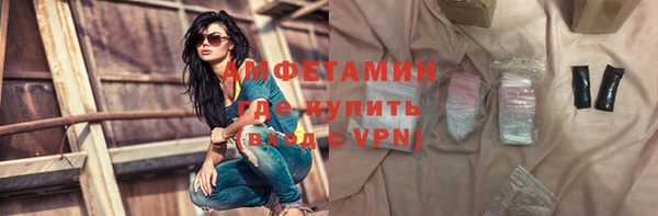 прущие грибы Инта