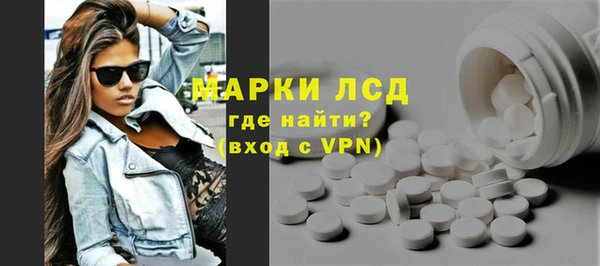 соль ск Инсар