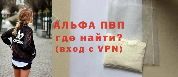 соль ск Инсар