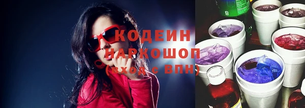 прущие грибы Инта