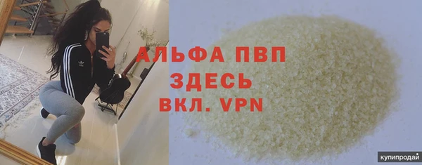 соль ск Инсар