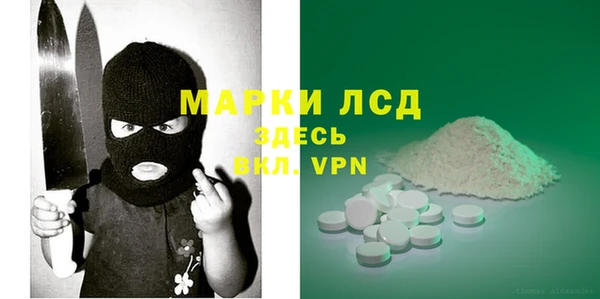 соль ск Инсар