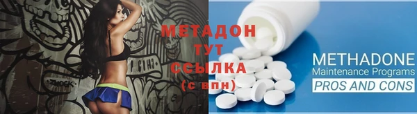 прущие грибы Инта