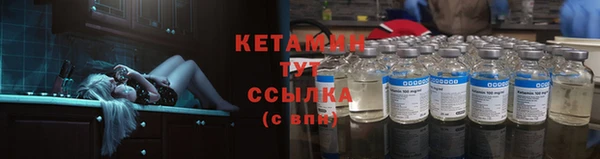 прущие грибы Инта