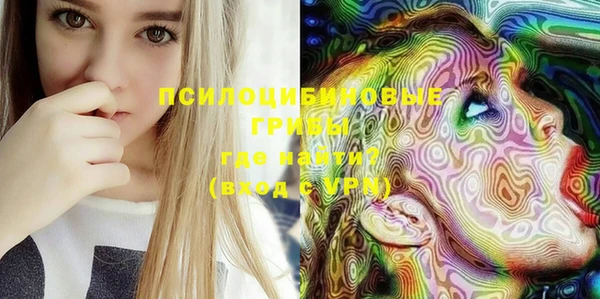 герыч Иннополис