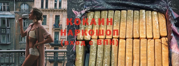 соль ск Инсар
