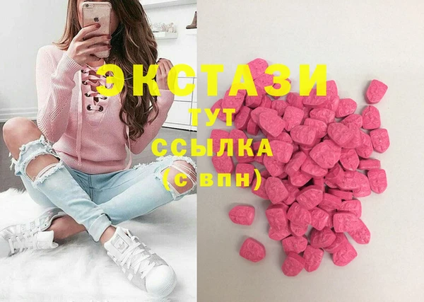 соль ск Инсар