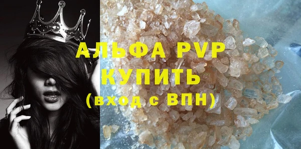 прущие грибы Инта