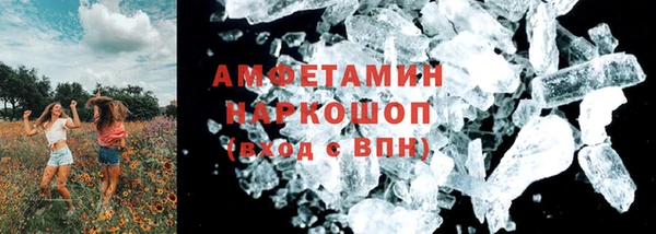соль ск Инсар