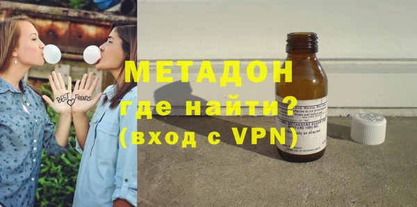 прущие грибы Инта