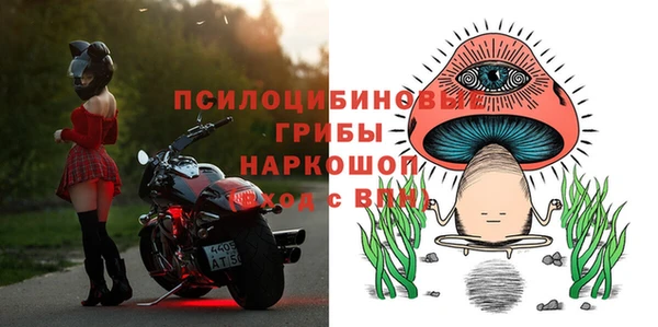 герыч Иннополис