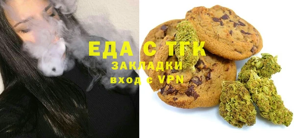 прущие грибы Инта