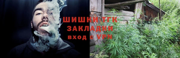 соль ск Инсар