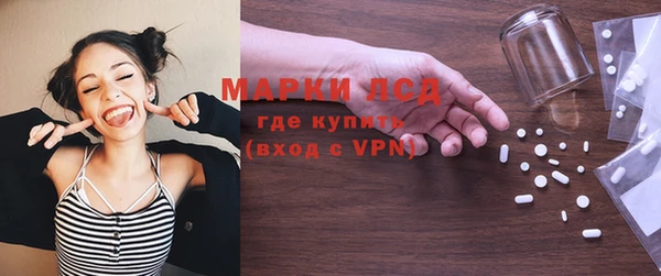 прущие грибы Инта