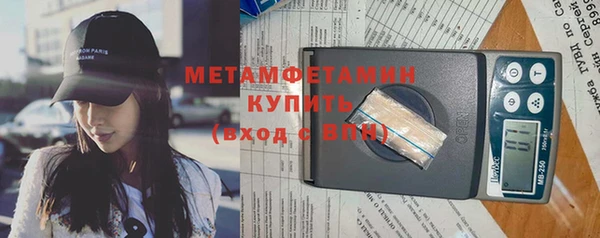 прущие грибы Инта