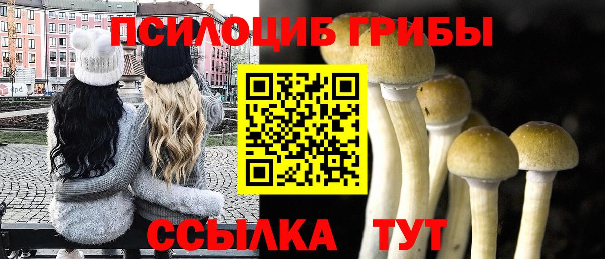 Галлюциногенные грибы GOLDEN TEACHER Когалым