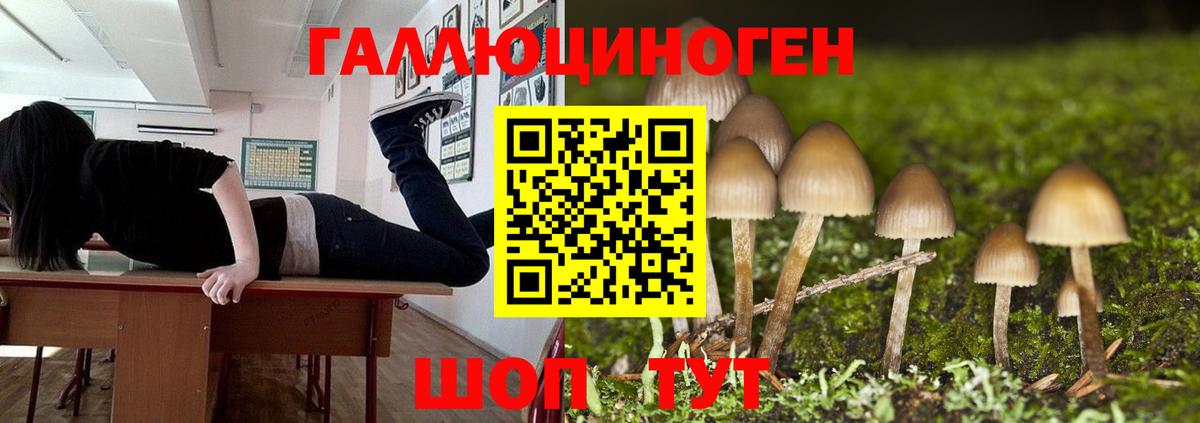 цены   Вход с VPN  Когалым  Галлюциногенные грибы Cubensis 